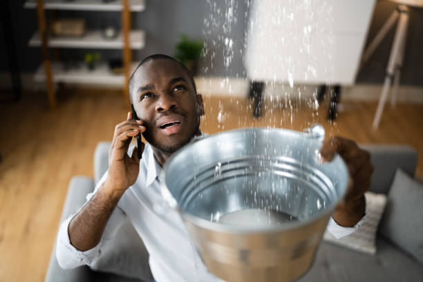 Best Water damage restoration specialists  in Piney, AR