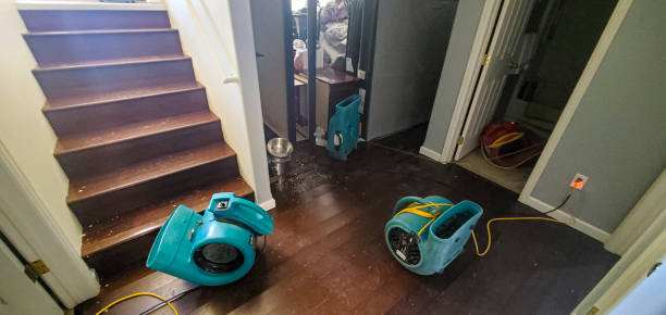 Sewage cleanup and water damage restoration in Piney, AR