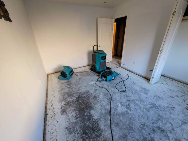 Best Residential water damage restoration  in Piney, AR