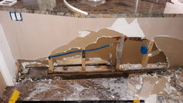 Best Professional water damage repair  in Piney, AR