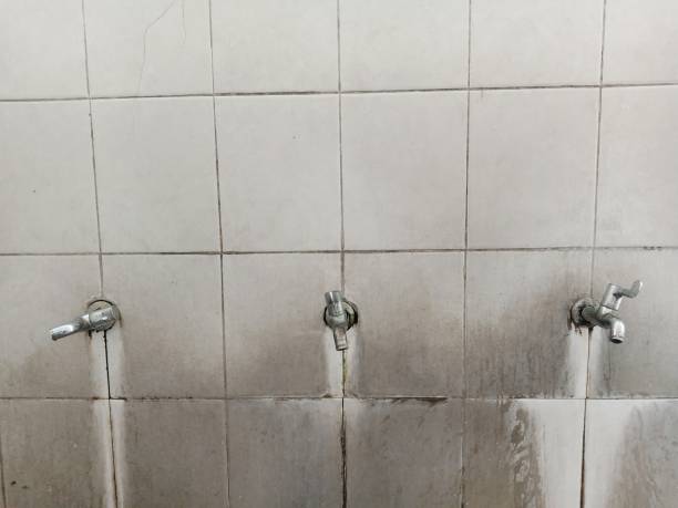 Best Emergency water damage restoration  in Piney, AR